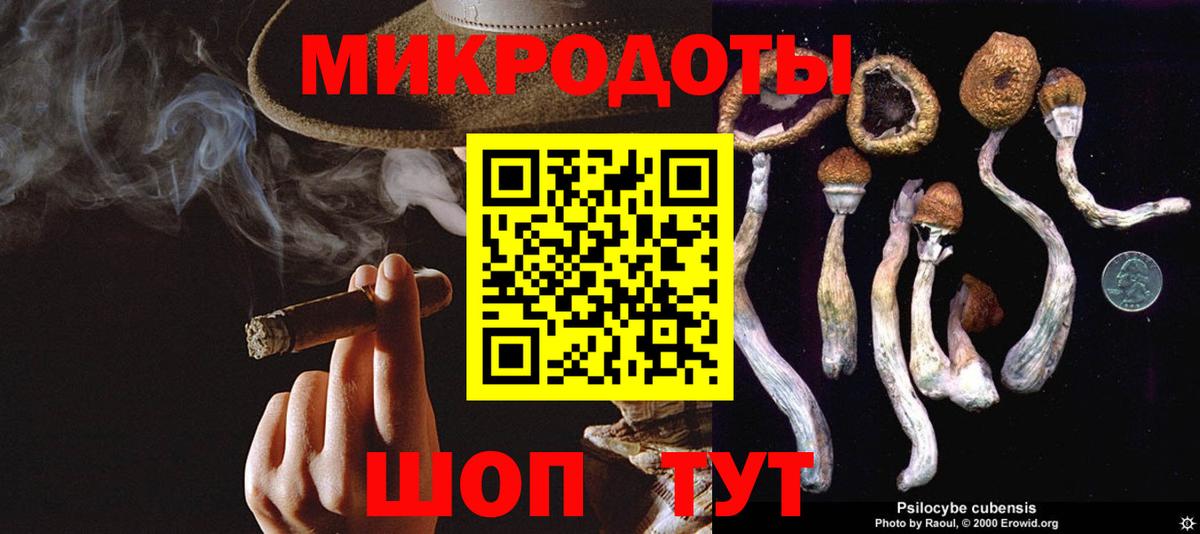 Галлюциногенные грибы Psilocybine cubensis Выкса