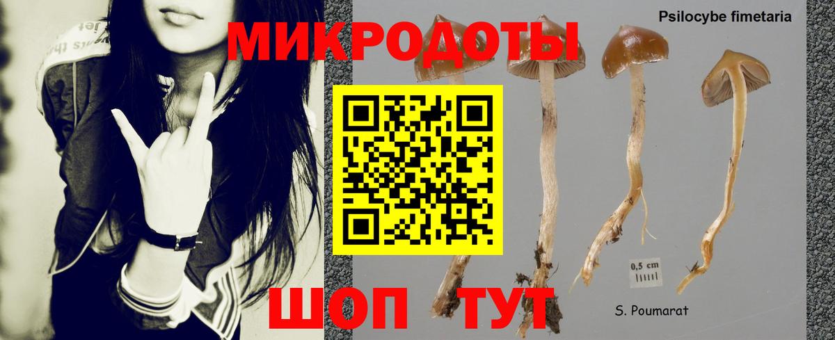 Выкса  Псилоцибиновые грибы мухоморы  Вход с VPN  Галлюциногенные грибы прущие грибы 