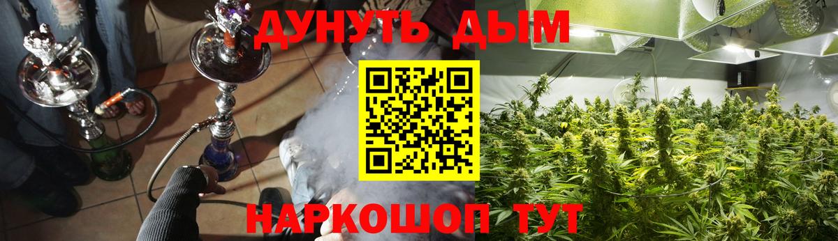 Каннабис MAZAR Выкса